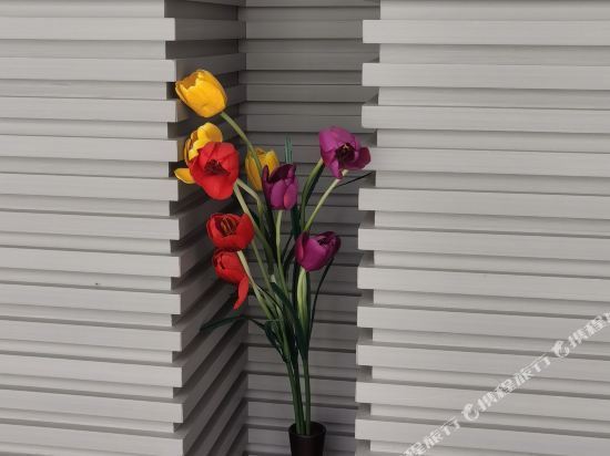 福建光龙大酒店