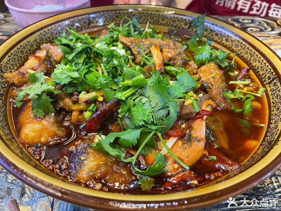 太安鱼图片