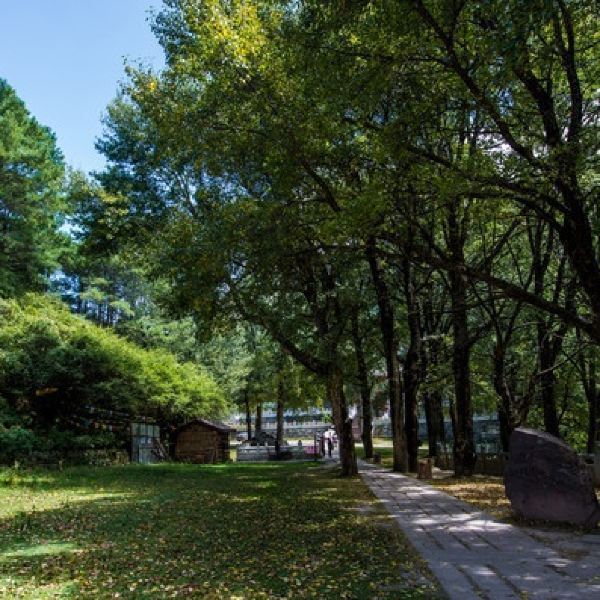 甘孜藏族自治州 休闲娱乐 景点公园 景点 > 康定跑马山风景区