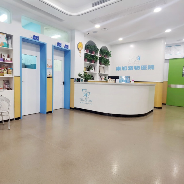 查看康旭宠物医院_360地图搜索结果列表