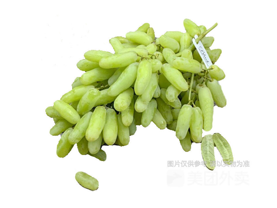 金手指青提图片