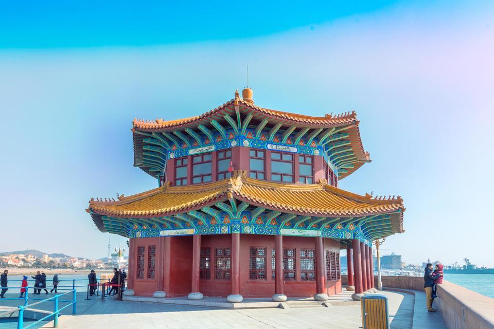 > 青岛栈桥海鸥