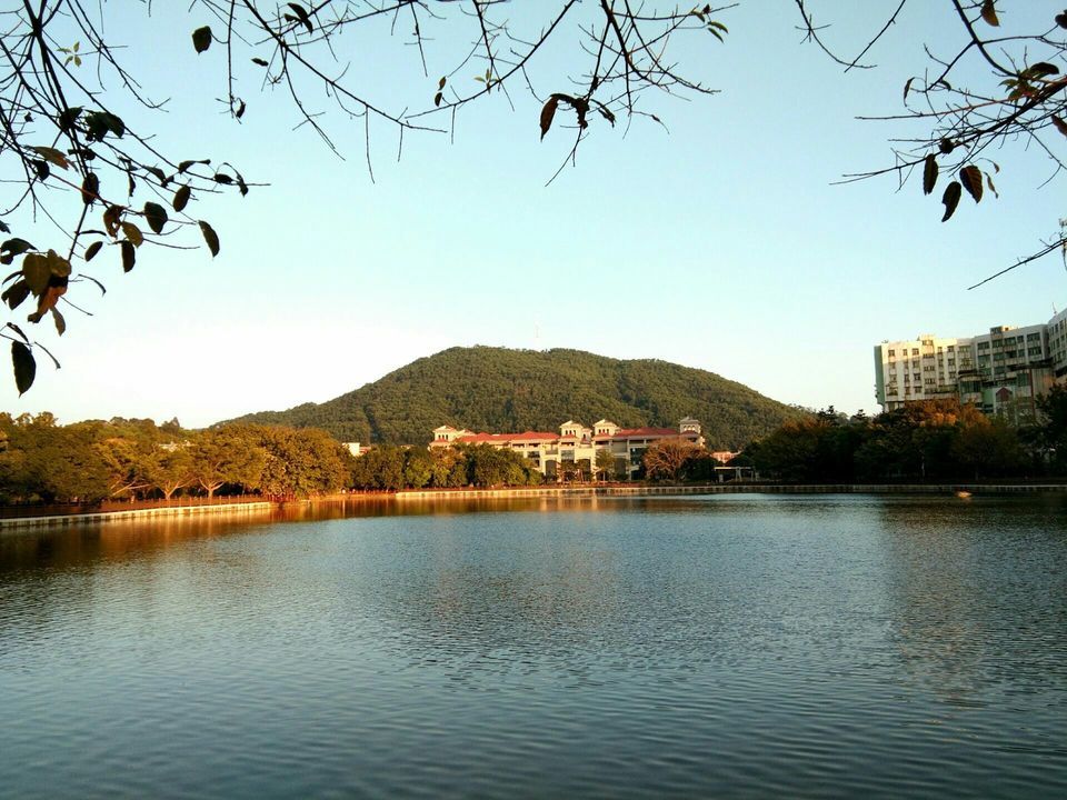                  蕉石岭森林公园