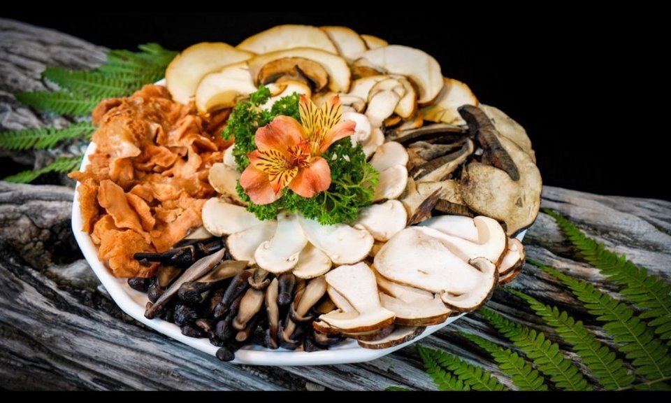 【识君食菌·野生菌火锅】识君食菌·野生菌火锅电话_识君食菌·野生