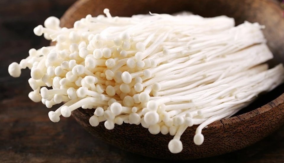 白顶金针菇图片