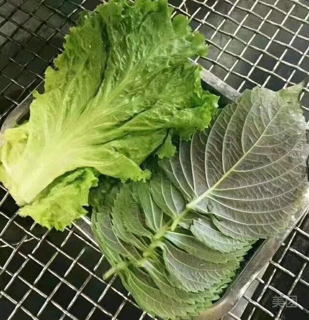 生菜叶苏子叶合盘图片