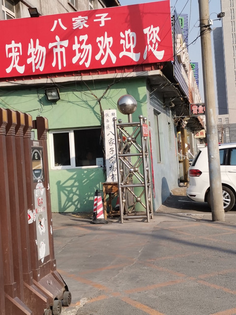                  八家子宠物市场