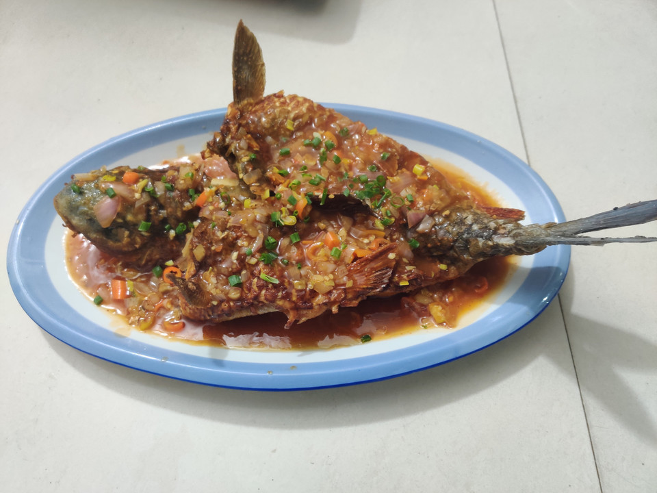 红烧洋尖鱼图片