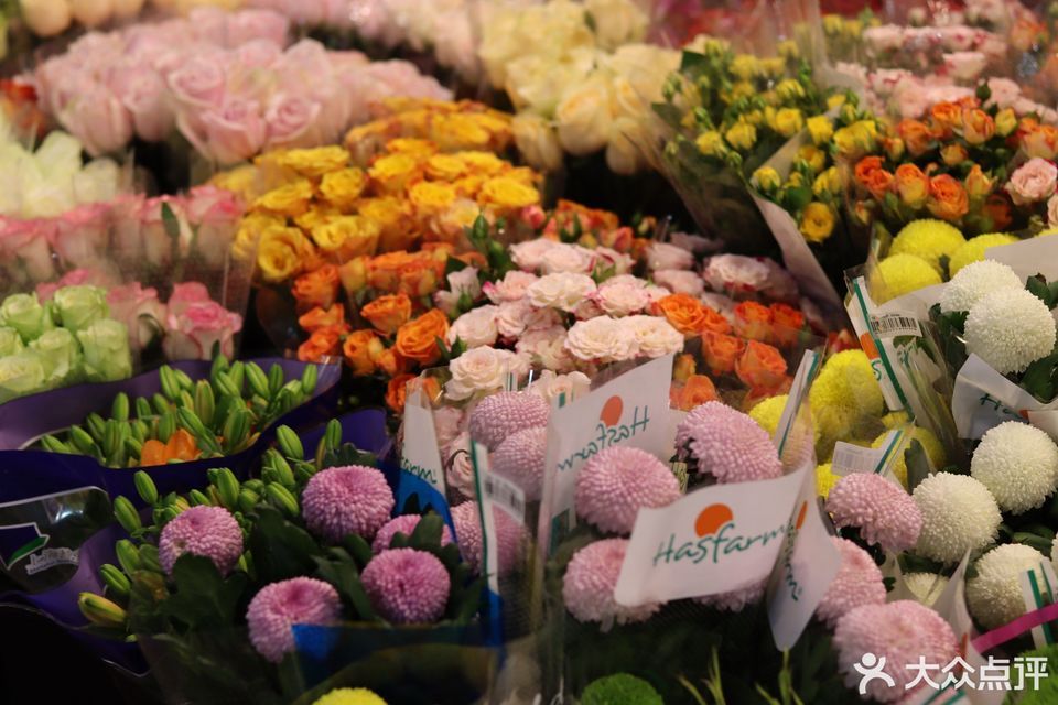 将军桥花鸟市场