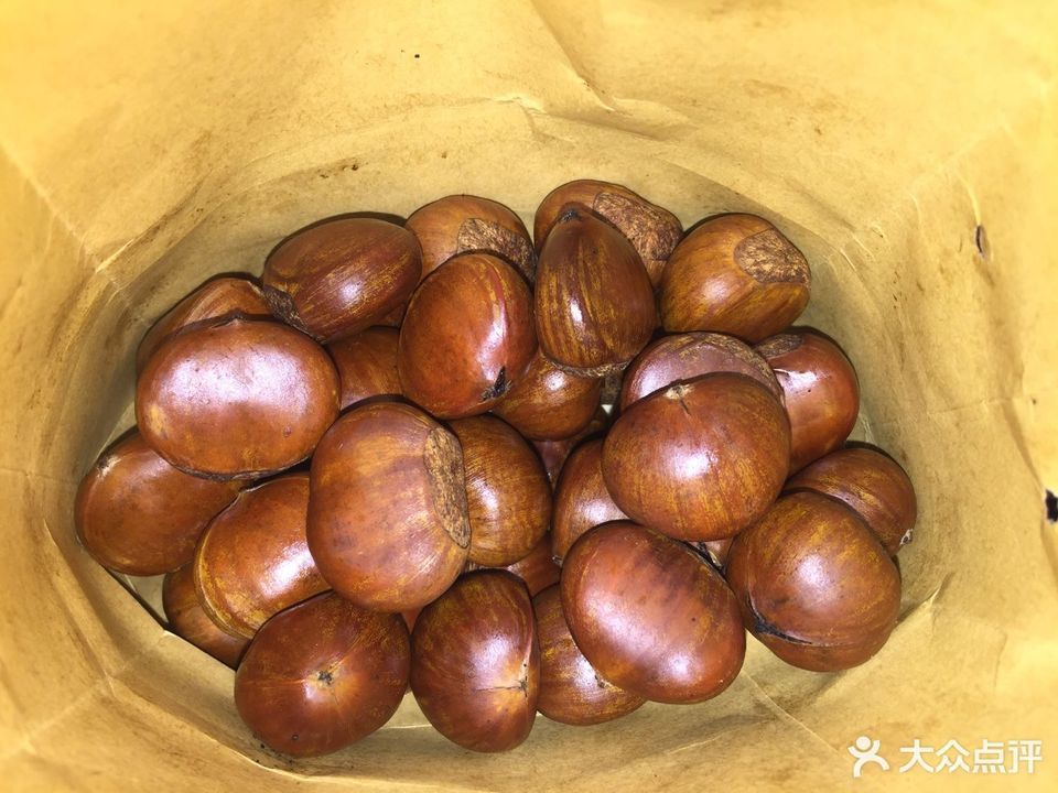 天津小宝栗子利民道店