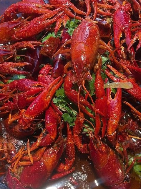 碳烤活鱼推荐菜:游子鱼庄位于揭阳市榕城区马牙路富榕大厦正对面