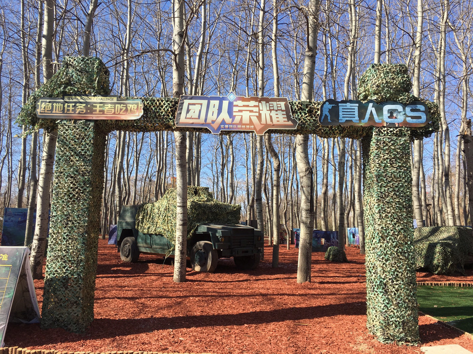 朝阳公园-真人cs图片