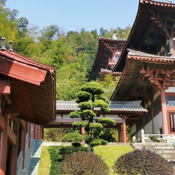 也是一個沒有太多人熟知的寺廟,名氣上比不上天童,阿育王寺.