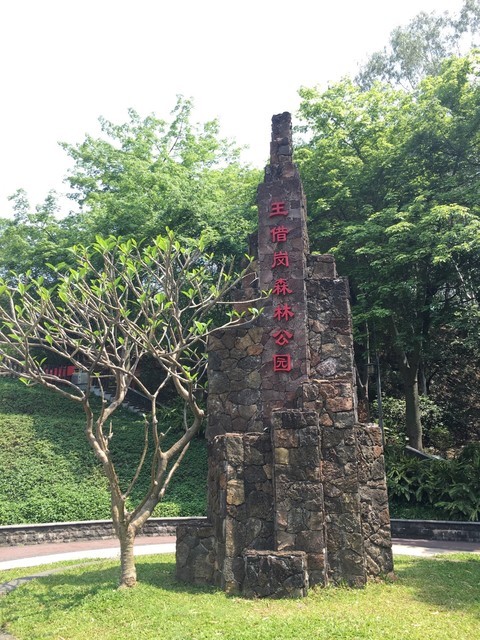 王借岗