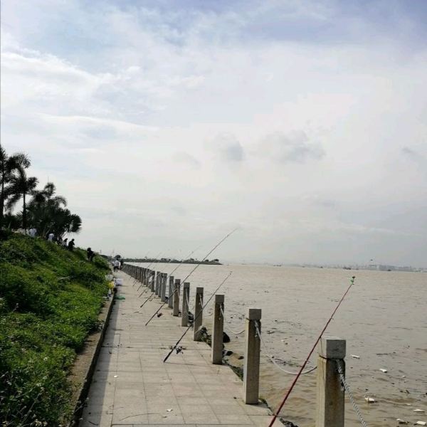 【海鷗島】海鷗島門票,海鷗島遊玩攻略_360地圖