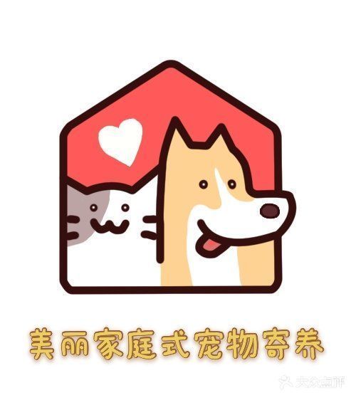 美丽家庭式宠物寄养