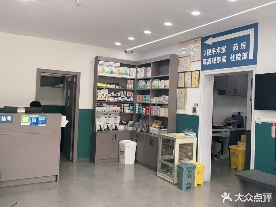 正规兽药店装修图片