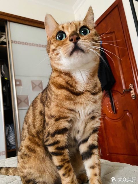 【中山动物医院】地址,电话,路线,周边设施_360地图