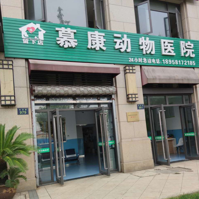慕康动物诊所图片