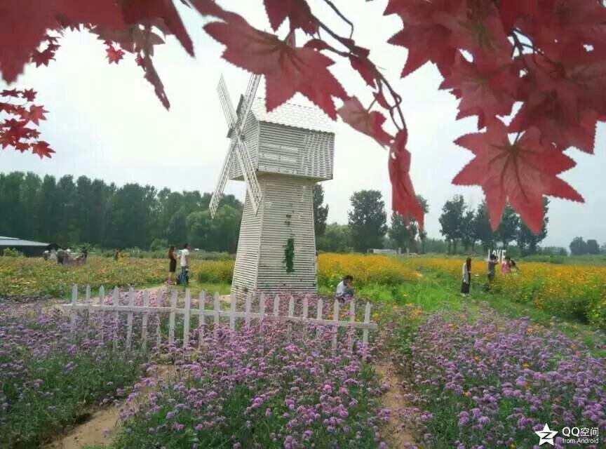 北京香草世界