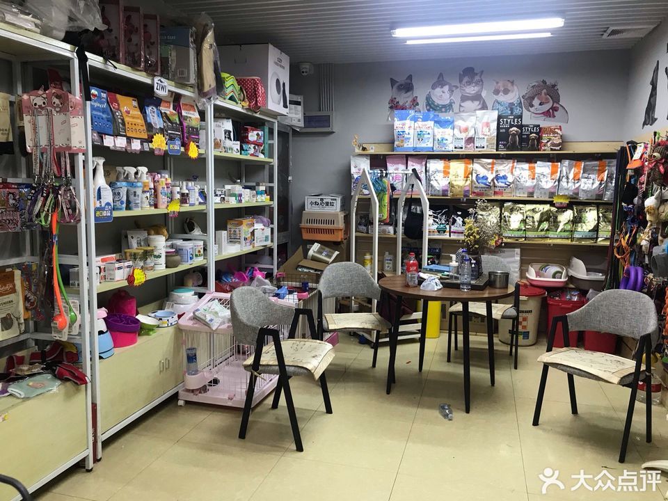 悠长假期宠物商店