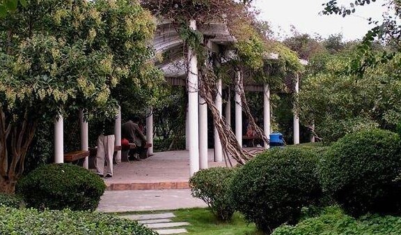 【华漕公园】华漕公园地址,华漕公园电话,华漕公园图片_360地图