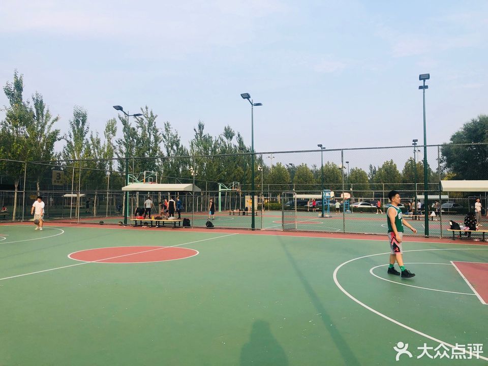 东小口森林公园篮球场图片