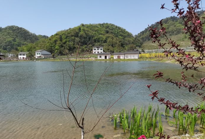 渝北天池百花谷