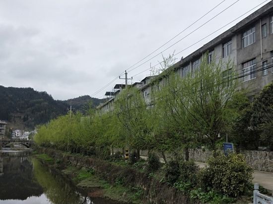 利川涼霧鄉馬前村