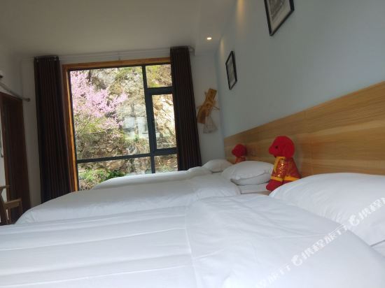 洛阳市 住宿服务 客栈民宿 > 老君山君舍民宿