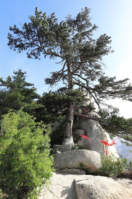 王猛台地址(位置,怎么去,怎么走,在哪,在哪里,在