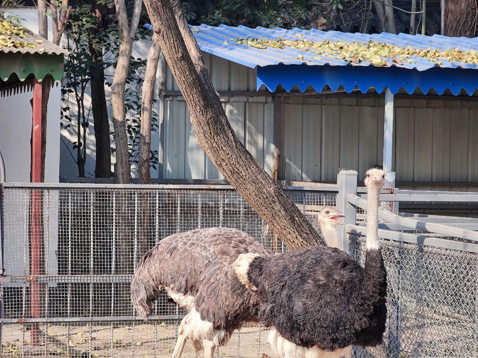 查看徐州動物園門票_360地圖搜索結果列表