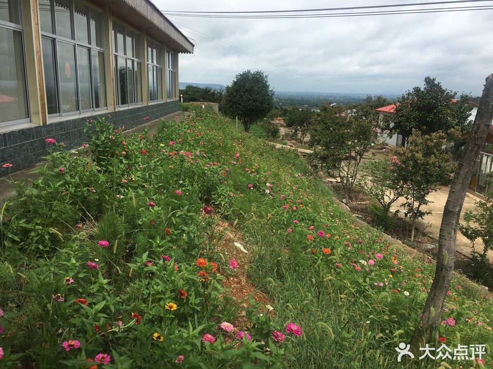 瓦屋山度假避暑农家乐图片