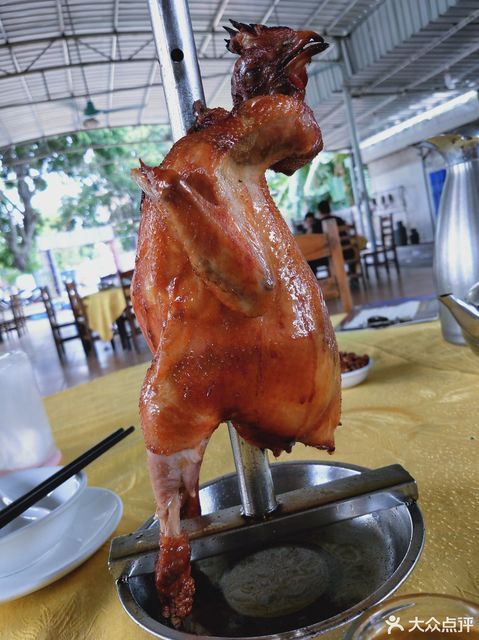 南景农庄荔枝木栋企鸡