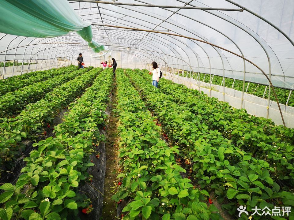 查看松江佘山附近农家乐_360地图搜索结果列表