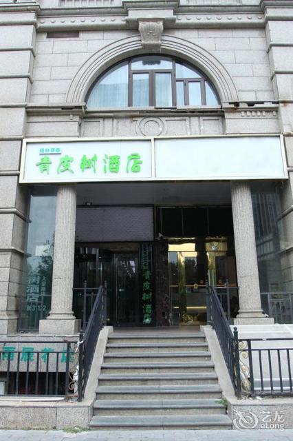 青皮树北京朝阳区西大望路九龙山地铁站酒店图片