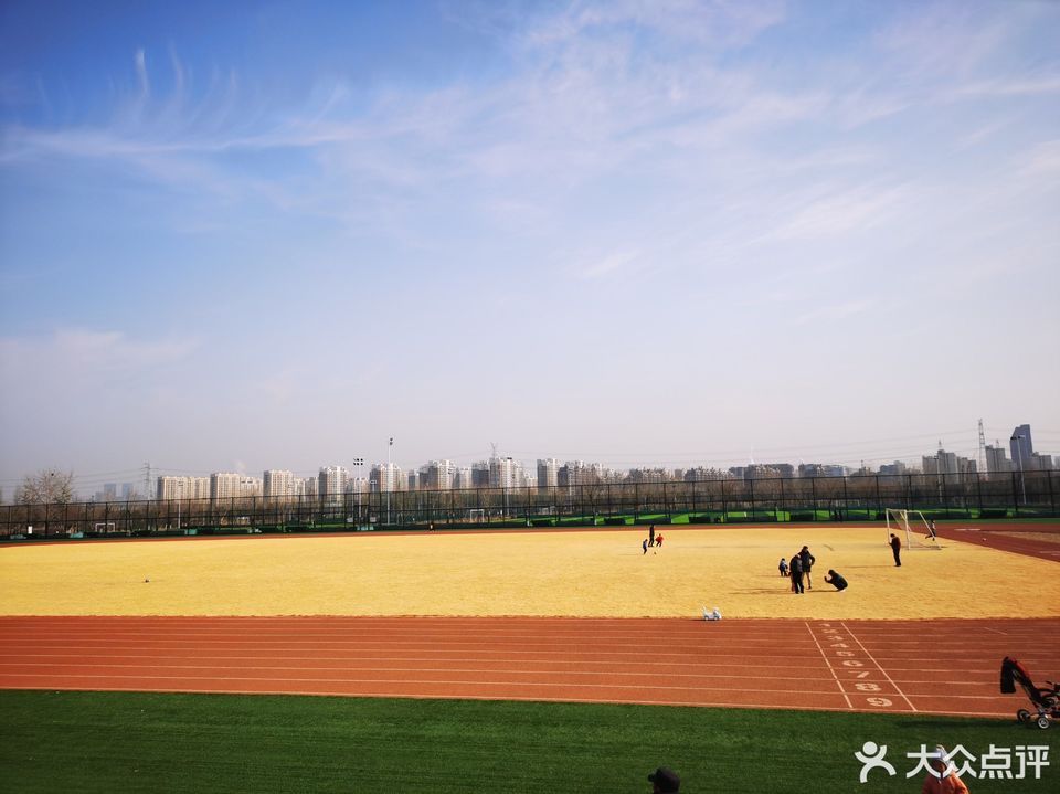 瀛海足球公园图片