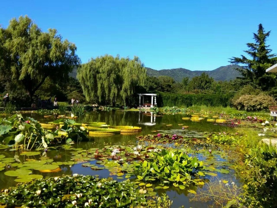 中国科学院植物研究所北京植物园