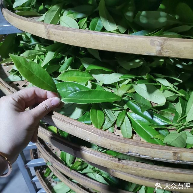 水云轩满庭芳5卡(香格里拉大酒店正对面)推荐菜:分类:茶楼;餐饮;茶叶