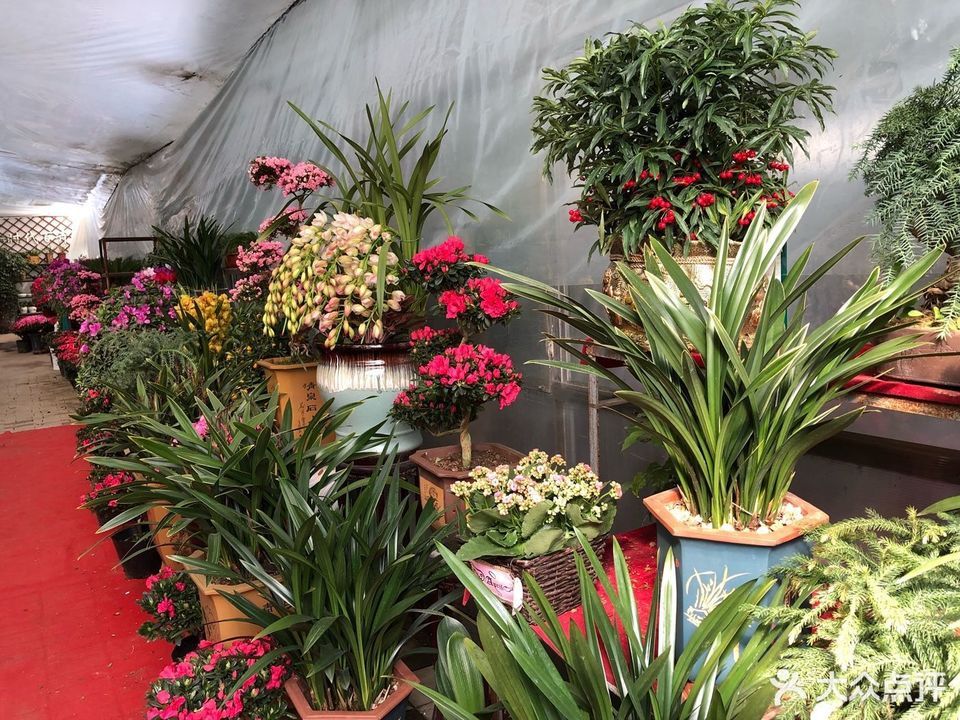 四季春花卉经营部  材料经营部兴亮水产调料经营部云鑫化肥经营部公司