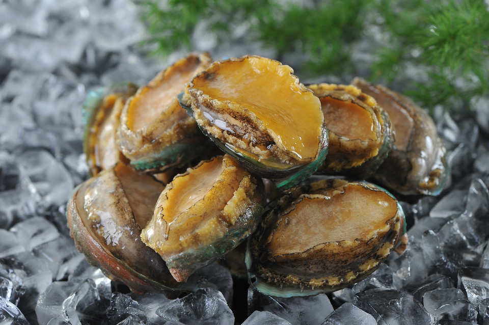 鲜美人鲍鱼图片