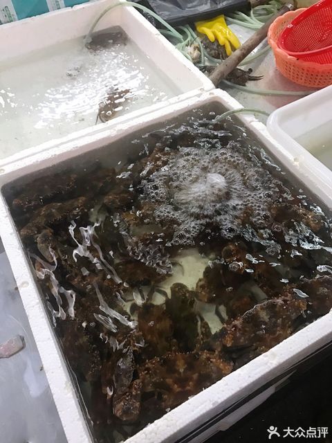 儋州洋浦港白马井海产品