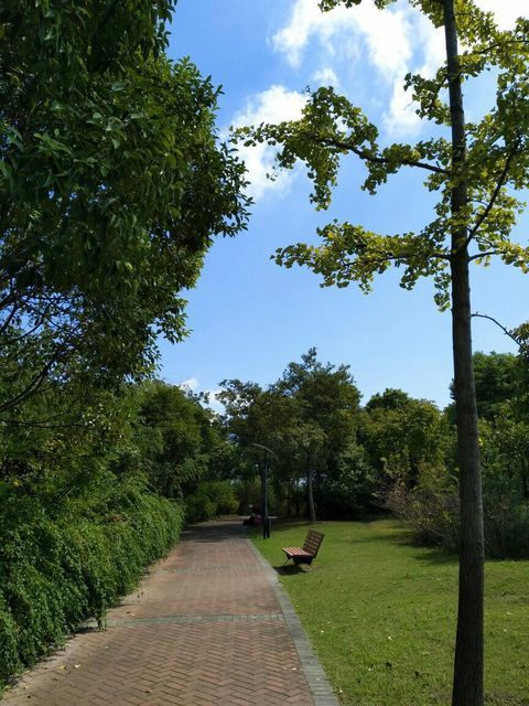 查看上海友谊公园_360地图搜索结果列表