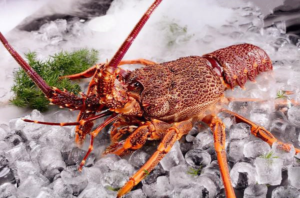 【东海湾海鲜城】东海湾海鲜城电话_东海湾海鲜城怎么样_360地图