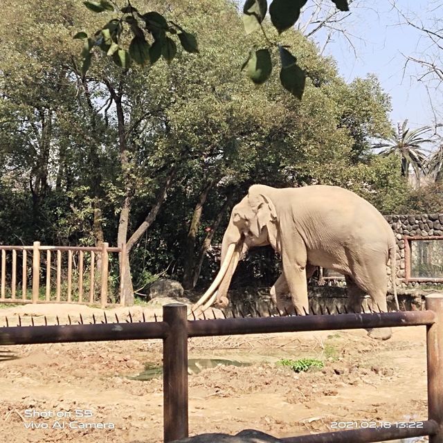 【南昌動物園】南昌動物園門票,南昌動物園遊玩攻略_360地圖