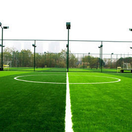 成都谢菲联足球公园