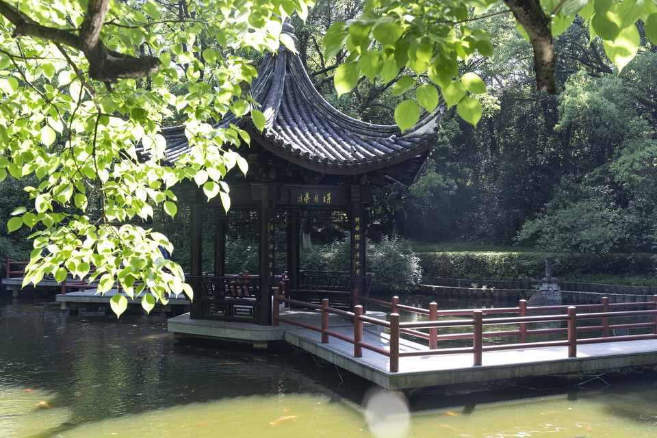       钱旋勒:万象山,在浙江丽水