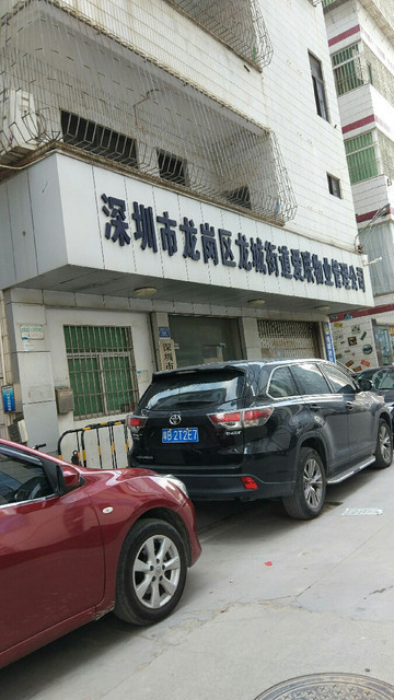 广东省深圳市龙岗区龙城街道