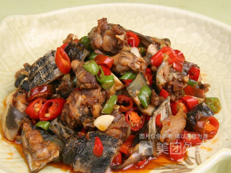 有味的沙鳖图片