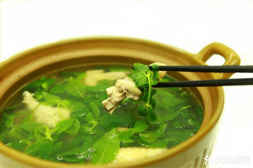 薄荷鸡汤图片